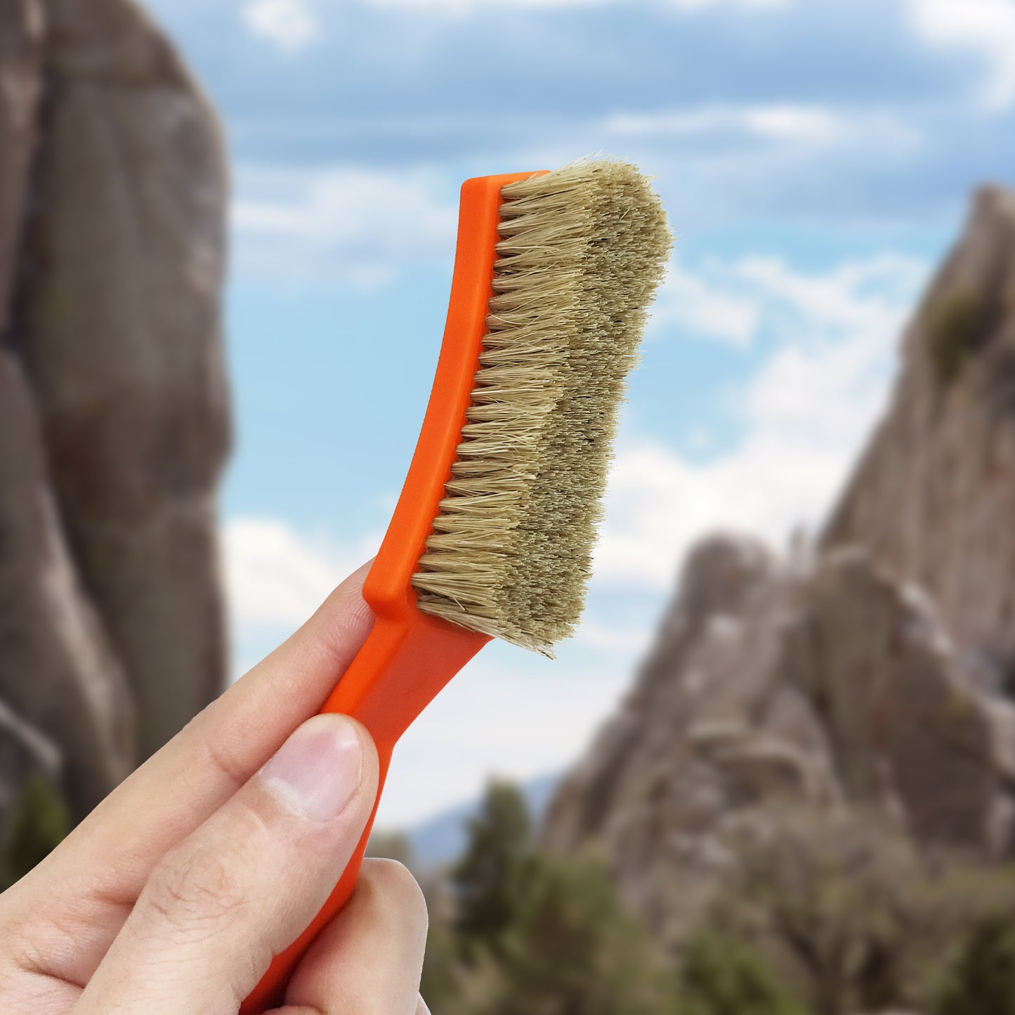 TWO STONES Bouldering Brush with Thick Ultra Durable Boar's Hair Bristles for Rock Climbing Holds on Climbing Wall